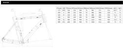 CARRARO CR-RACE 042C YOL BİSİKLETİ - 2
